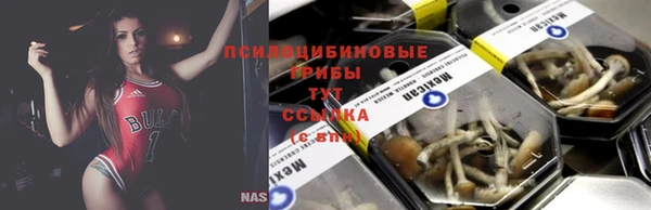 стаф Алексеевка
