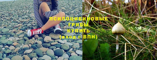 стаф Алексеевка