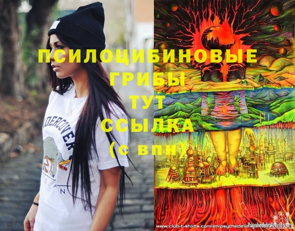 сатива Алексин