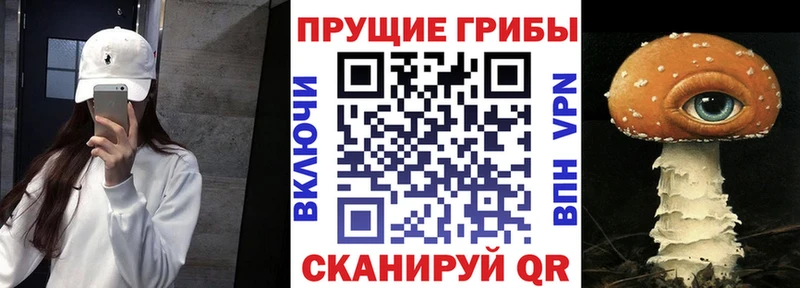 блэк спрут онион  Ярцево  Галлюциногенные грибы MAGIC MUSHROOMS 